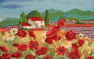 Fields of colour